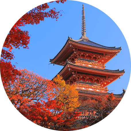 清水寺写真